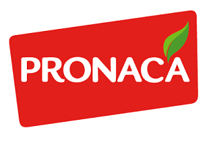 Cliente 34